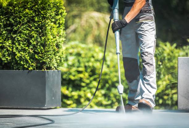 Best Gutter Cleaning  in Nashotah, WI