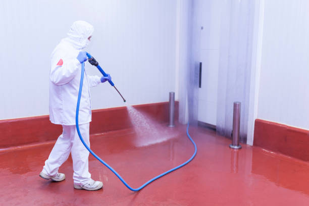 Best Post-Construction Pressure Washing  in Nashotah, WI