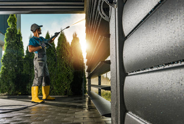 Best Solar Panel Cleaning  in Nashotah, WI